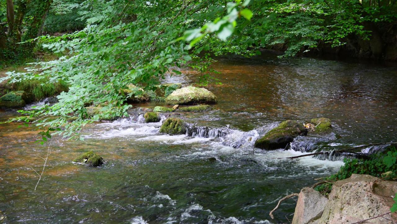 Les Chalets Du Moulin De Valade Condat-sur-Trincou Exteriör bild